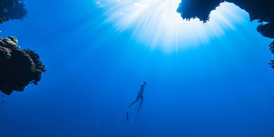 découvrez l'importance de la biodiversité pour notre planète. apprenez comment la diversité des espèces, des écosystèmes et des interactions biologiques contribue à la santé de notre environnement, au développement durable et à notre bien-être. explorez des initiatives et des actions pour protéger la richesse naturelle de la terre.