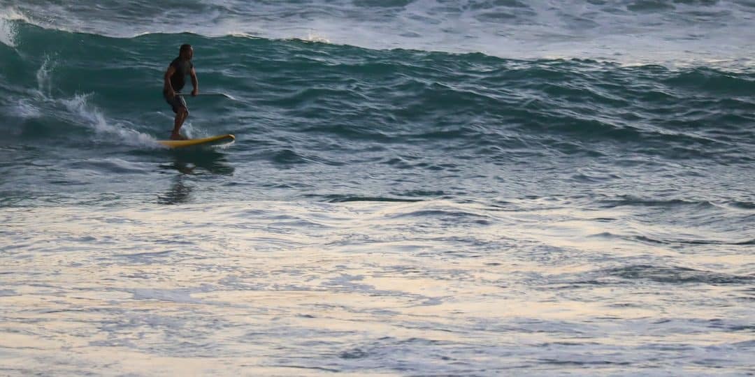 découvrez l'univers fascinant des sports nautiques, où adrénaline et évasion se rencontrent. que vous soyez passionné de planche à voile, de kayak ou de plongée, explorez nos conseils, techniques et destinations incontournables pour vivre des expériences inoubliables sur l'eau.